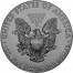 USA APOLLO-11 MOON LANDING FIRST WALK ON THE MOON American Silver Eagle 2019 Walking Liberty $1 Silver coin Ruthenium plated 1 oz